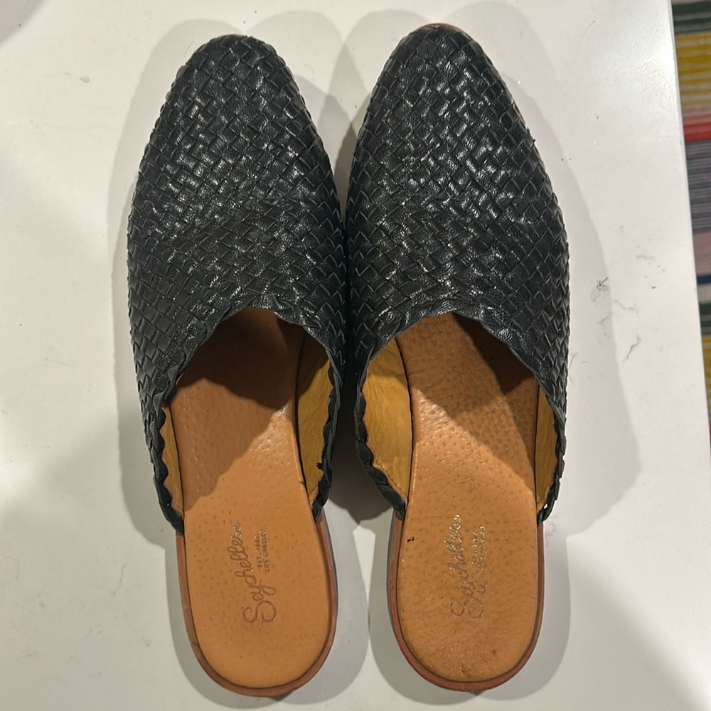 Seychelles black mules